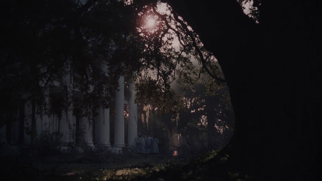 Die Verführten backdrop 12