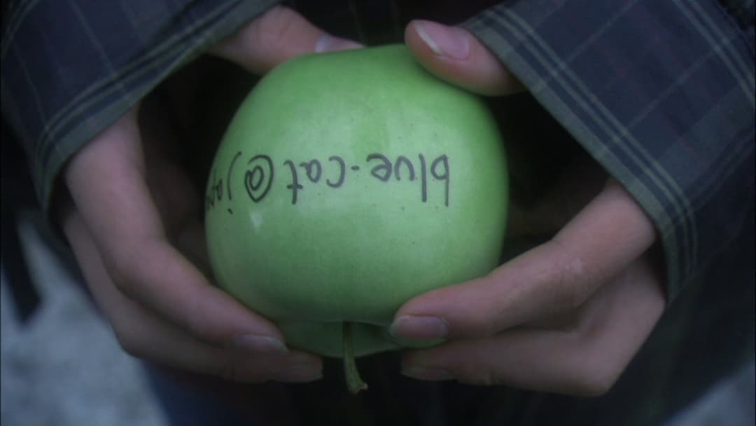 All About Lily Chou-Chou backdrop 15