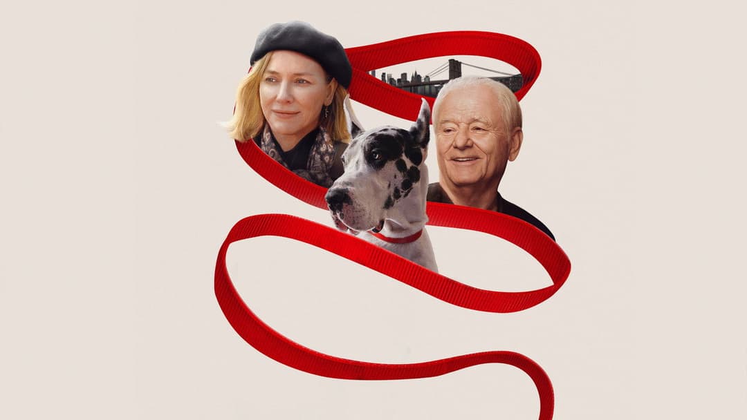 The Friend backdrop 11