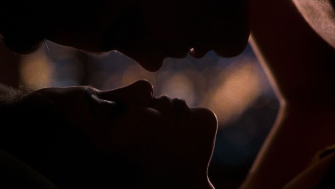 Поза полем зору backdrop 14