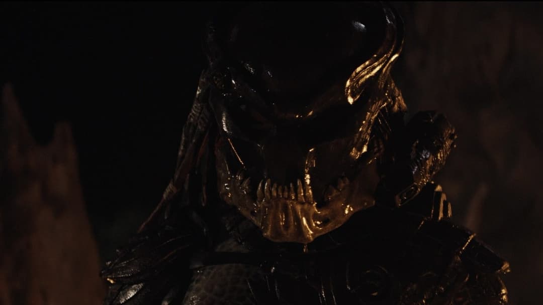 Predators backdrop 16