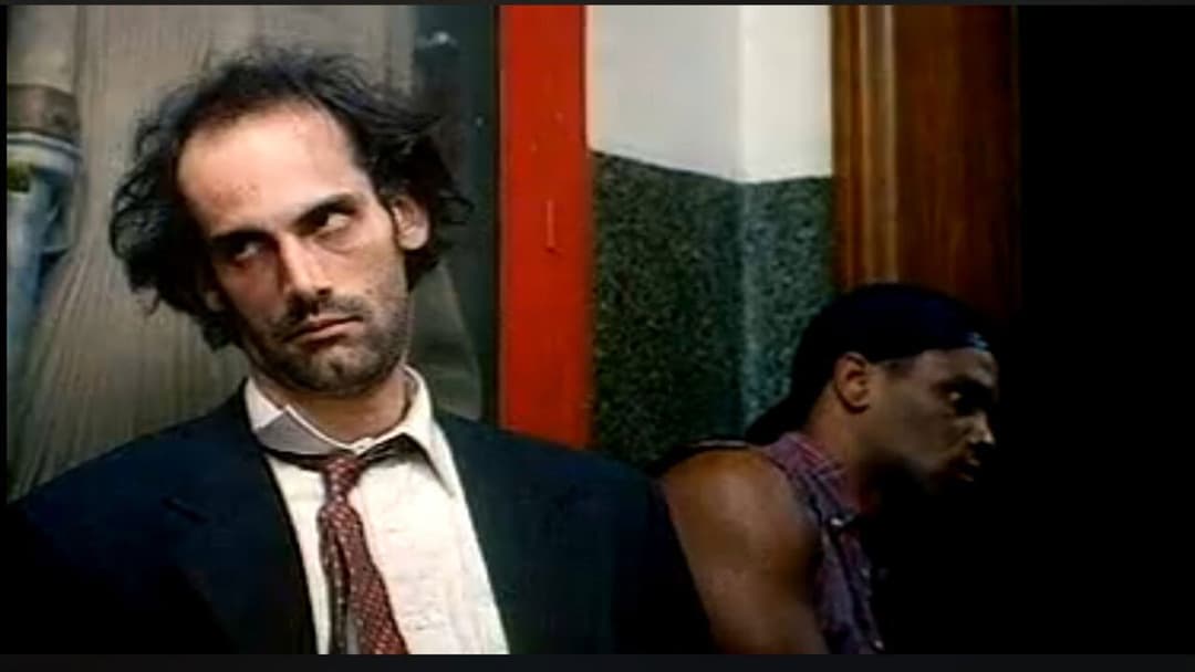 Аматор backdrop 14