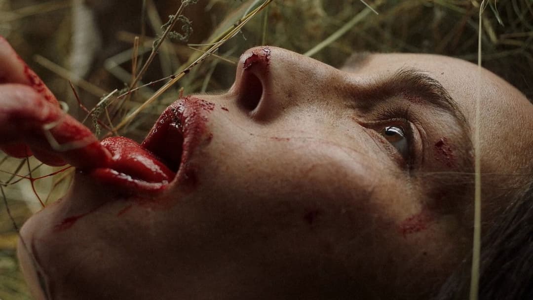 You Won't Be Alone backdrop 8