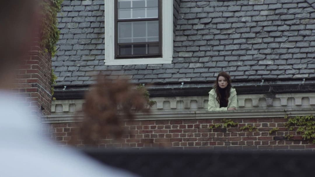 Thoroughbreds backdrop 6