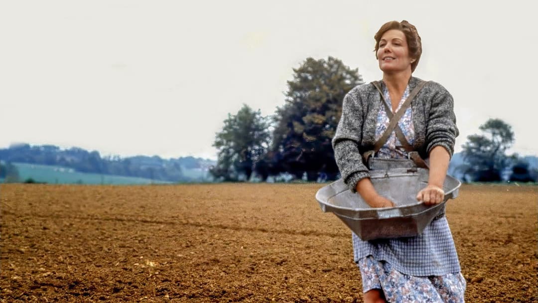 Antonia's Line backdrop 1