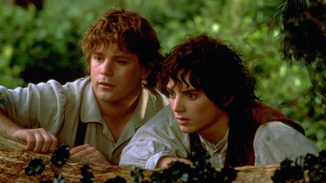 Володар перснів: Хранителі персня backdrop 9