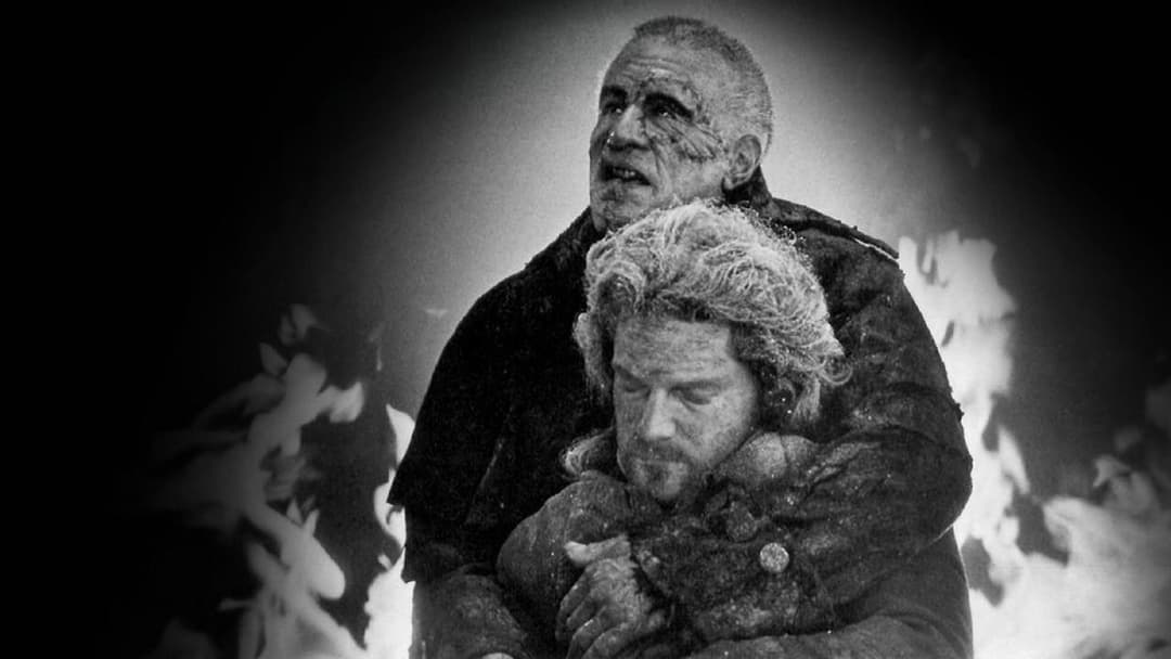 Mary Shelleys Frankenstein backdrop 20