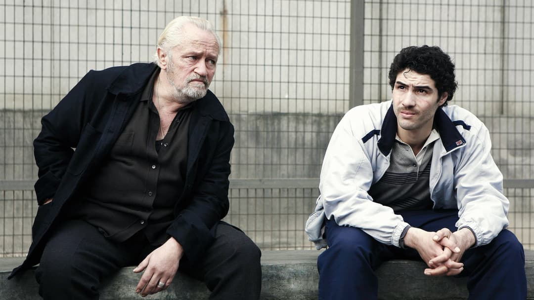 Ein Prophet backdrop 5