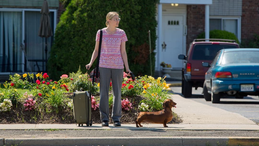 Wiener Dog backdrop 6
