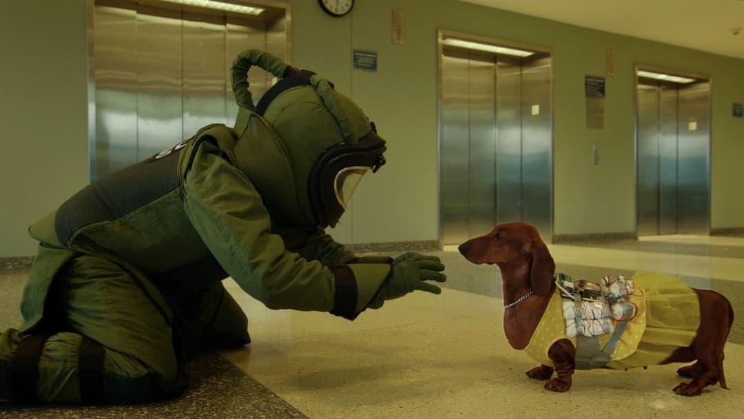 Wiener Dog backdrop 19