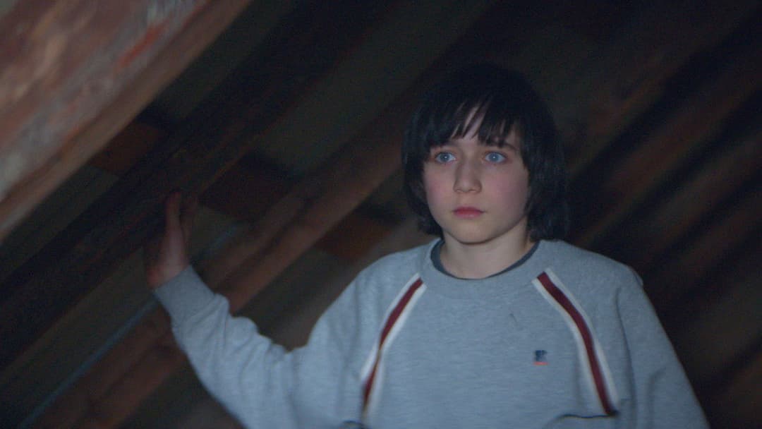 Anatomy of a Fall backdrop 17