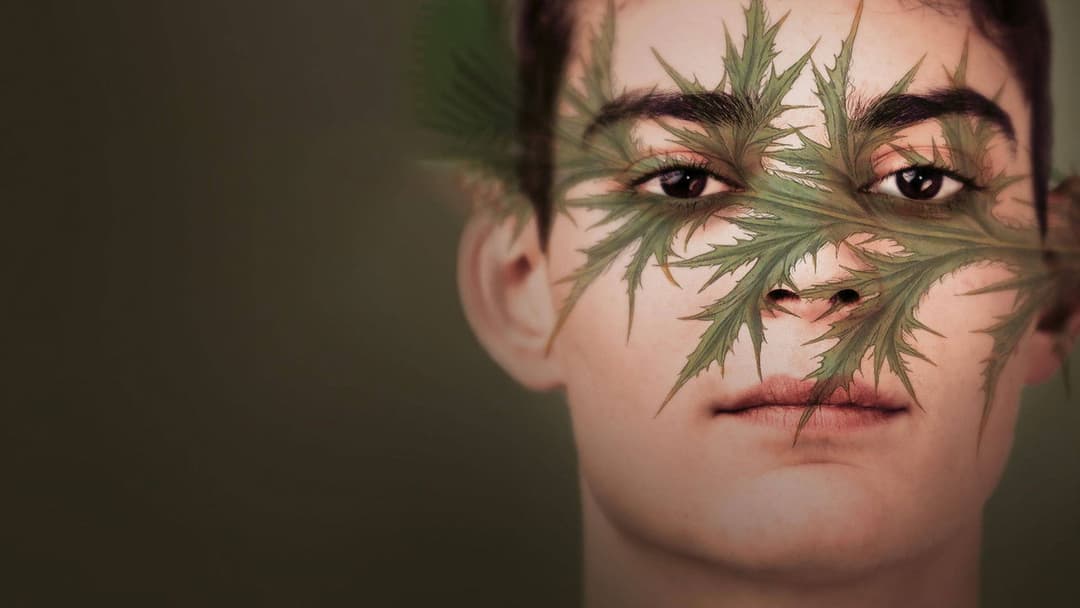 Шарлатан backdrop 3