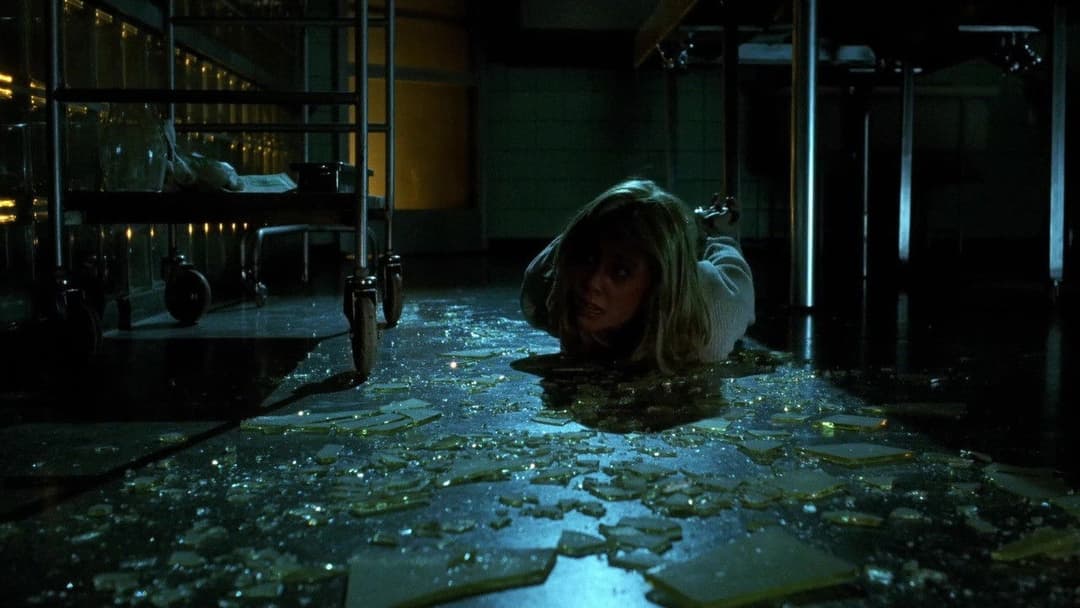 Nightwatch backdrop 3