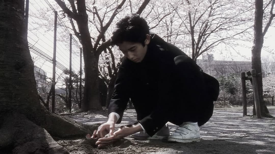 Блакитна весна backdrop 10