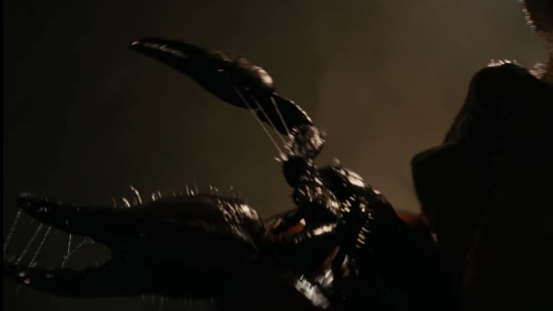 Lee Cronin's The Mummy backdrop 15