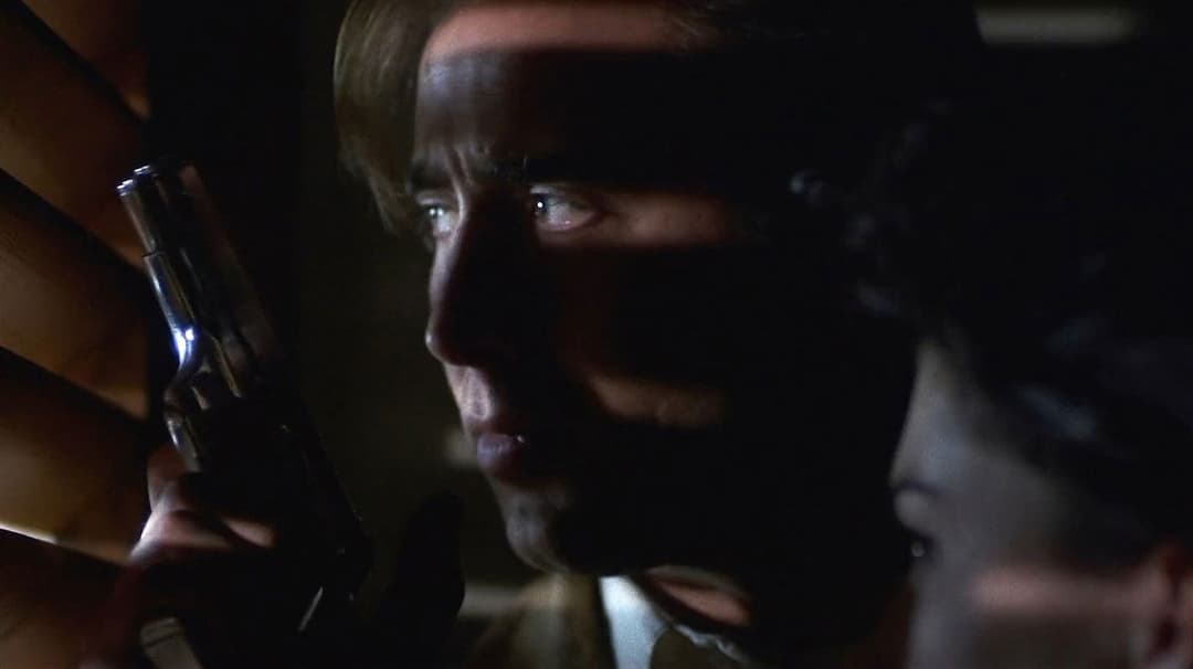 Red Rock West backdrop 8