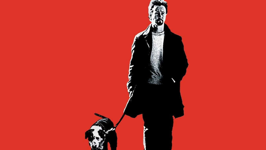 25th Hour backdrop 2