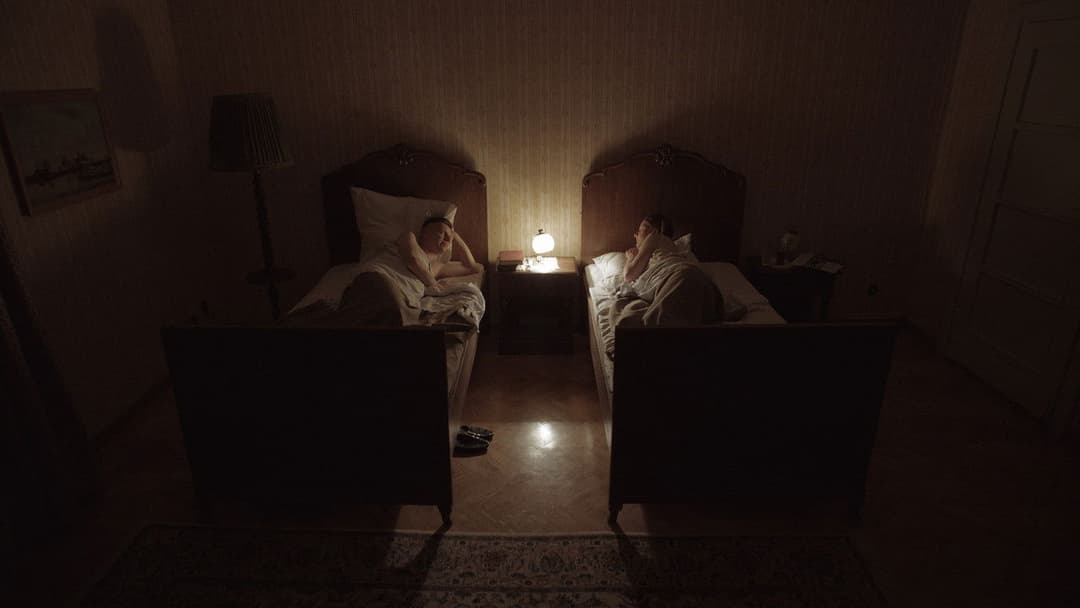 The Zone of Interest backdrop 17