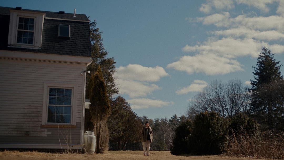 Sorry, Baby backdrop 7