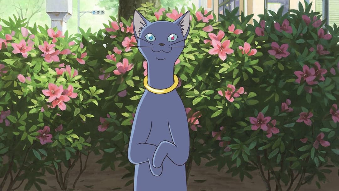 The Cat Returns backdrop 19