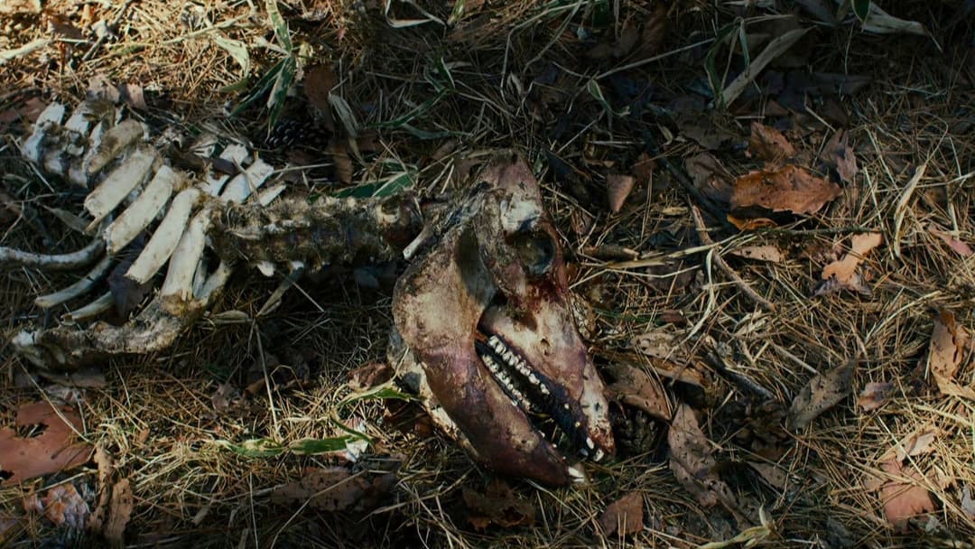 Зла не існує backdrop 10