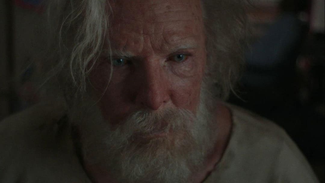 Котячі світи Луїса Вейна backdrop 12