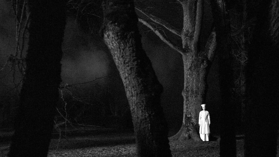 November backdrop 13