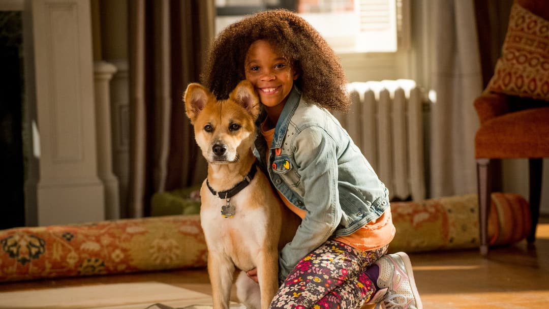 Енні backdrop 13