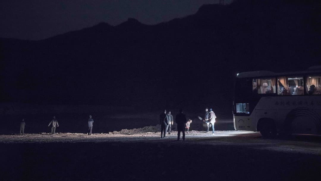 An Elephant Sitting Still backdrop 2