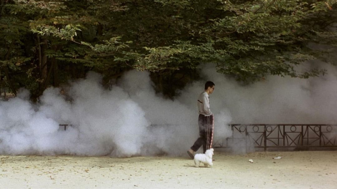 Barking Dogs Never Bite backdrop 9