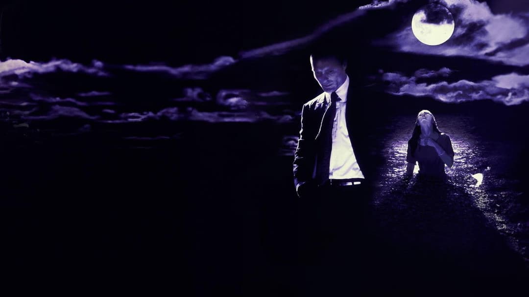 Порцеляновий місяць backdrop 11