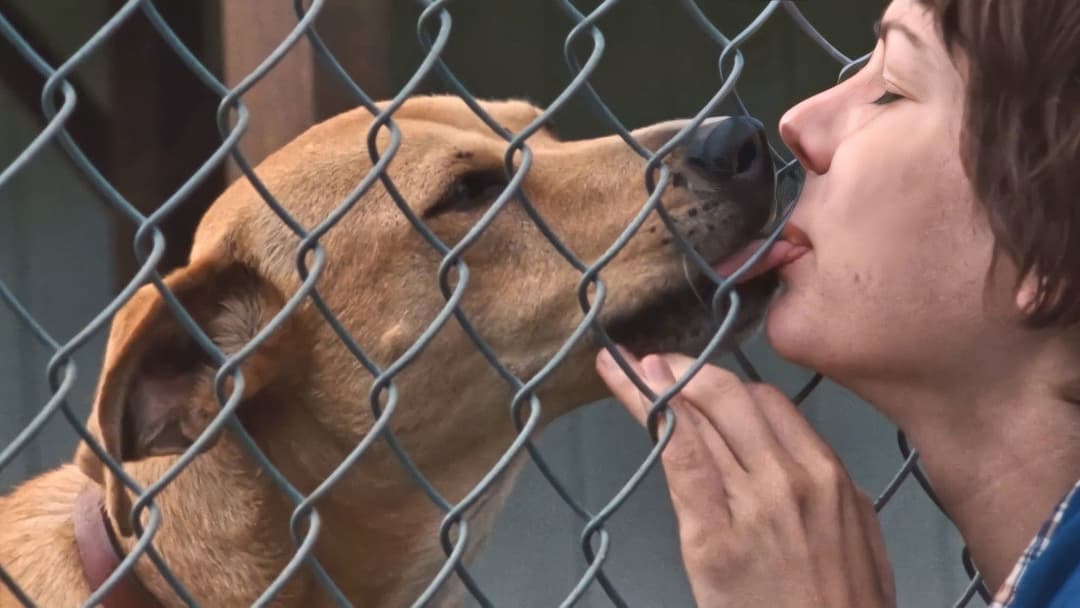 Wendy and Lucy backdrop 7