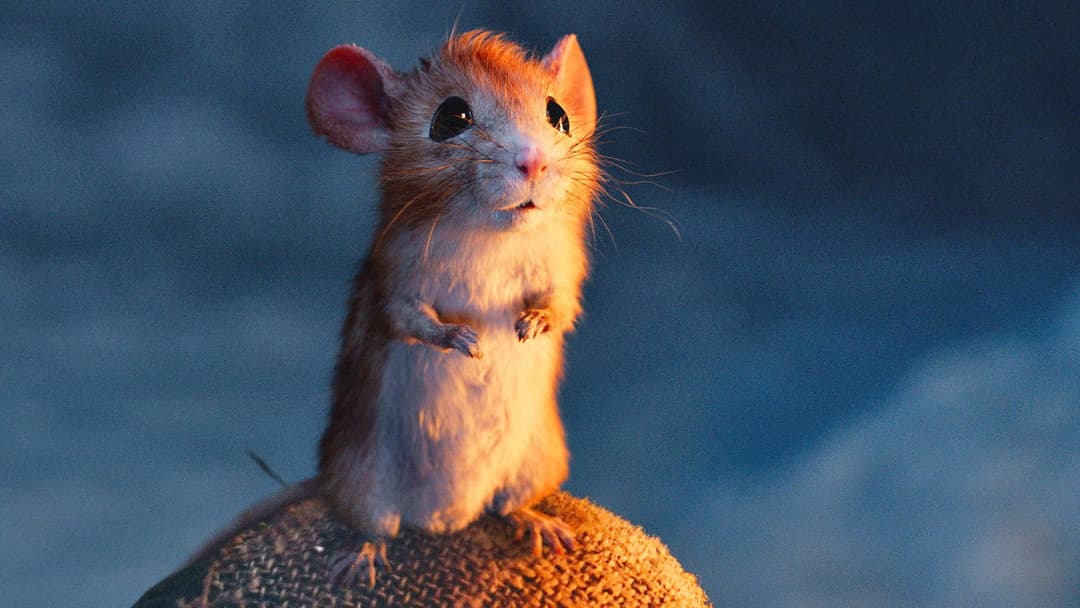 A Boy Called Christmas backdrop 12