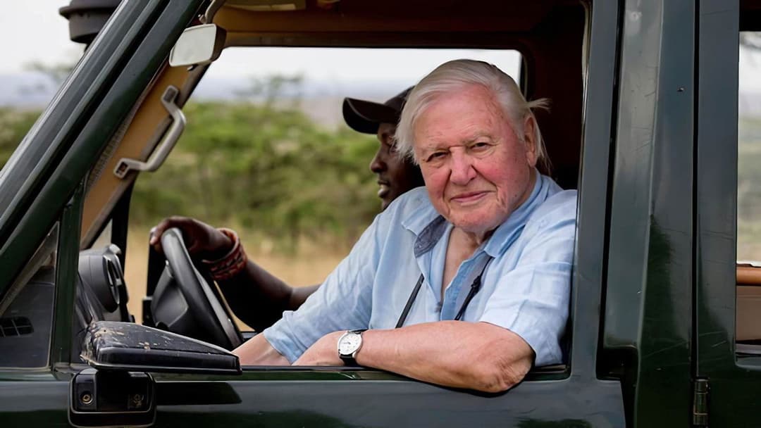 David Attenborough: Mein Leben auf unserem Planeten backdrop 1