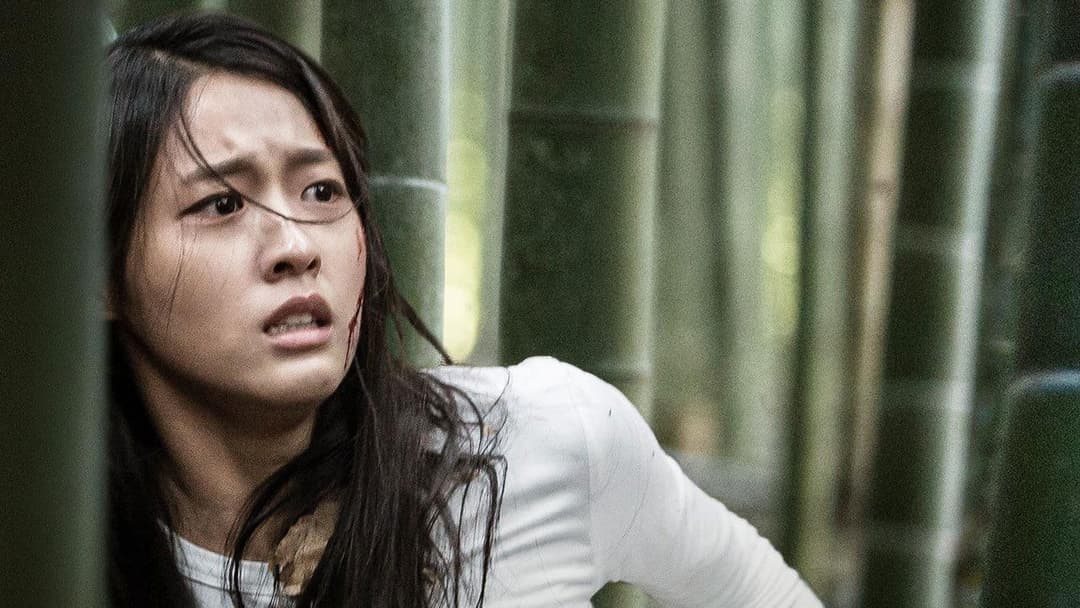 Memoir of a Murderer backdrop 13