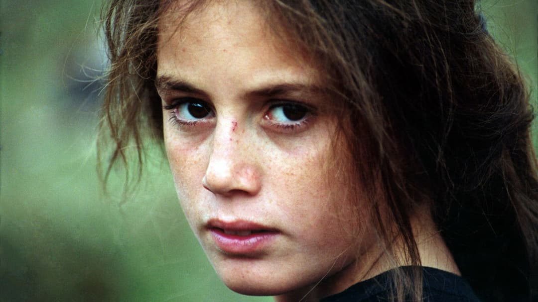 Turtles Can Fly backdrop 2