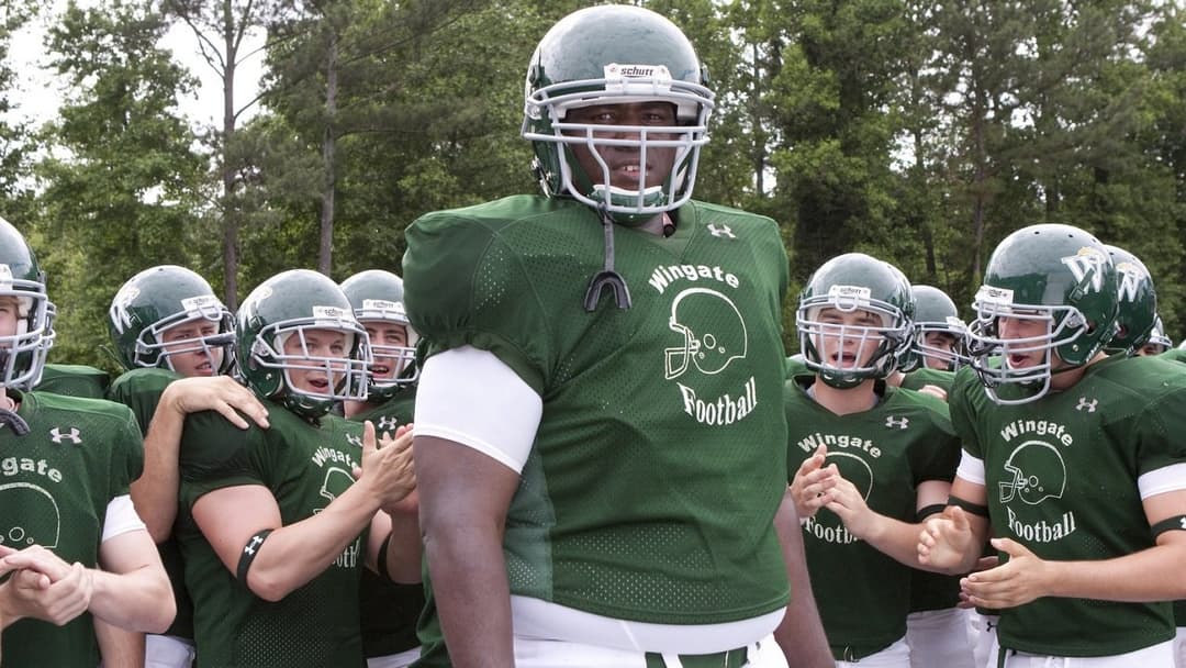 Blind Side - Die große Chance backdrop 14