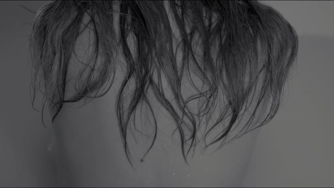 De quel côté est la Seine ? backdrop 1