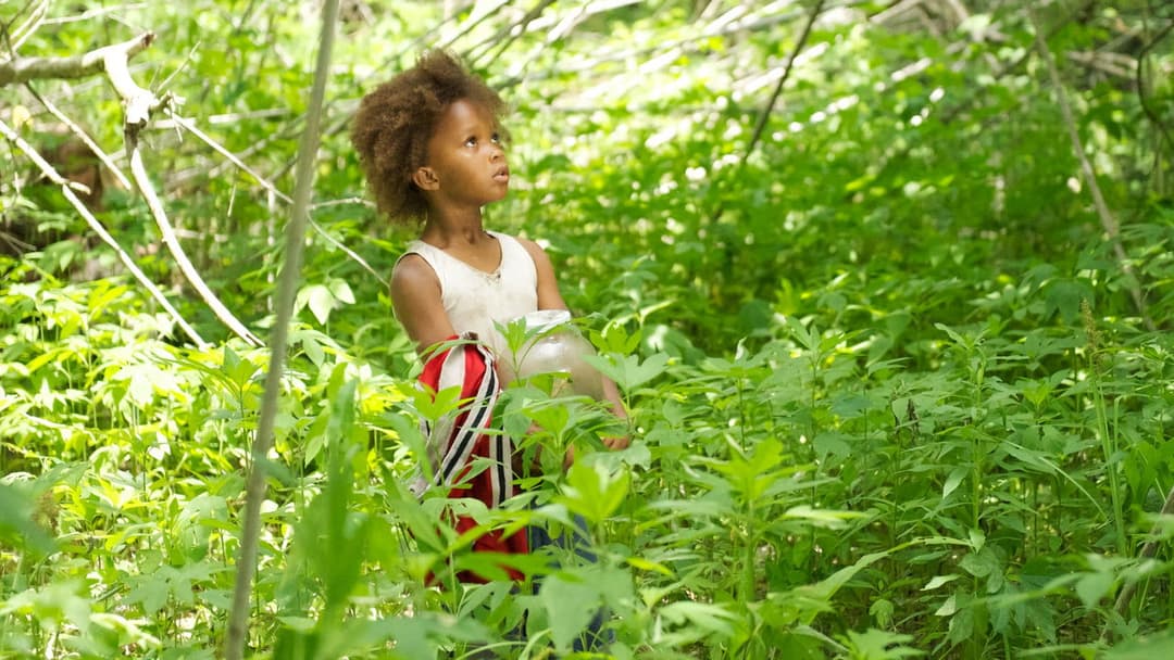 Beasts of the Southern Wild backdrop 20