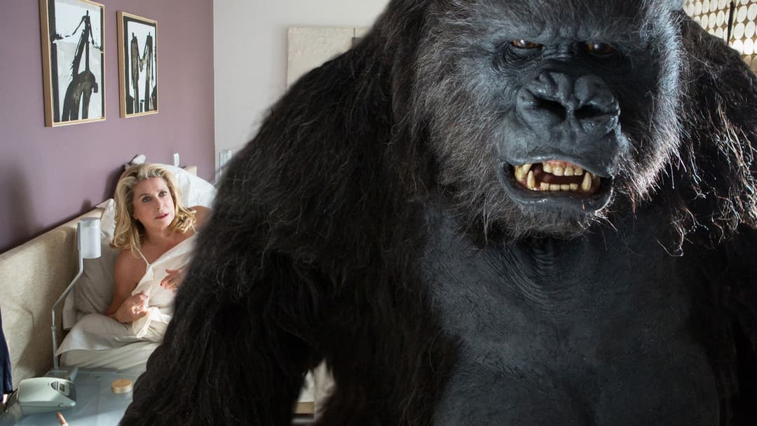 Das brandneue Testament backdrop 8