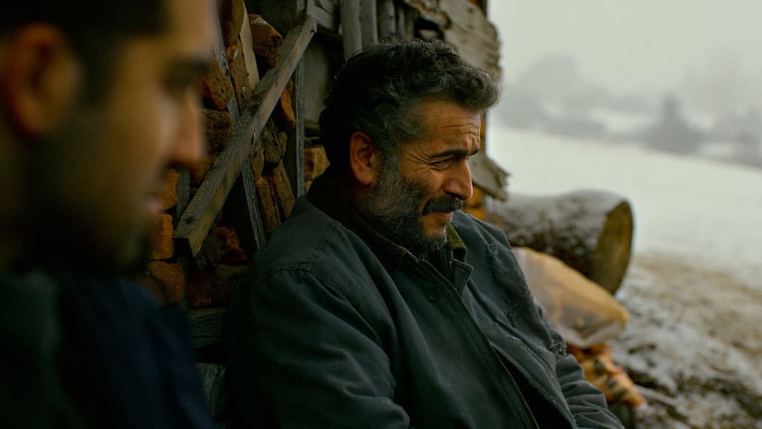 The Wild Pear Tree backdrop 2