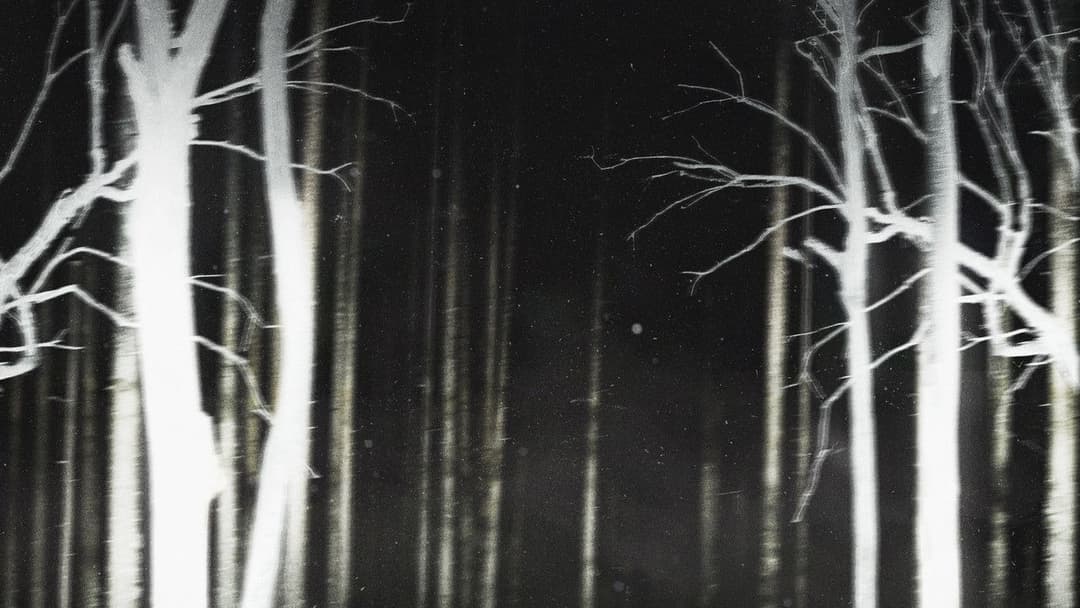 Shelby Oaks backdrop 9