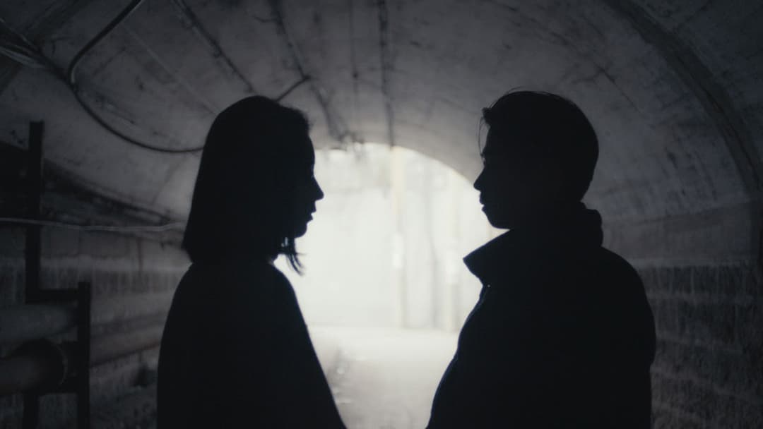 An Elephant Sitting Still backdrop 8