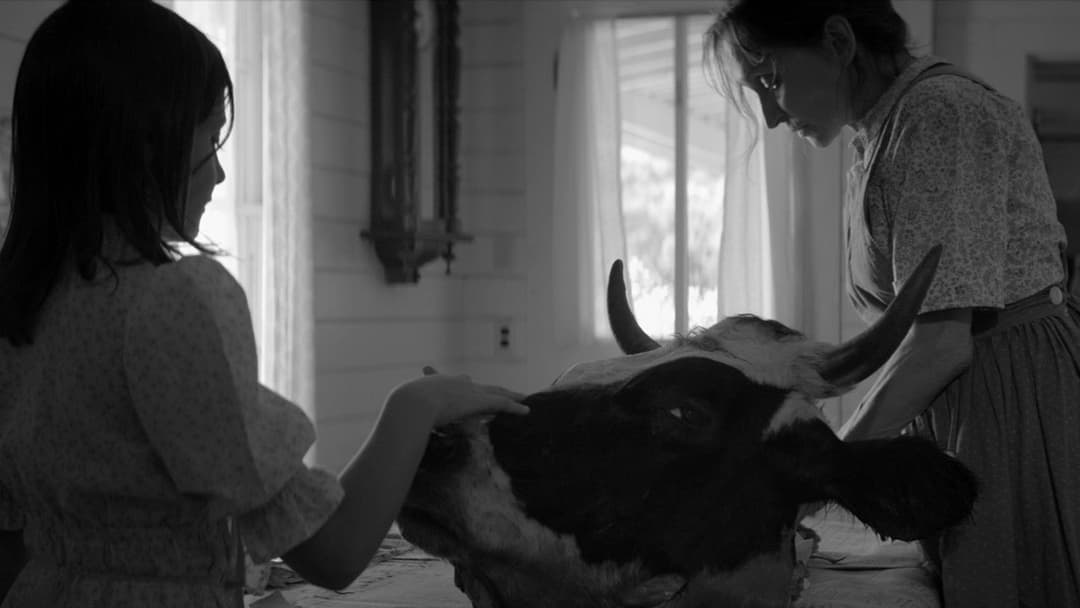 Очі моєї матері backdrop 8