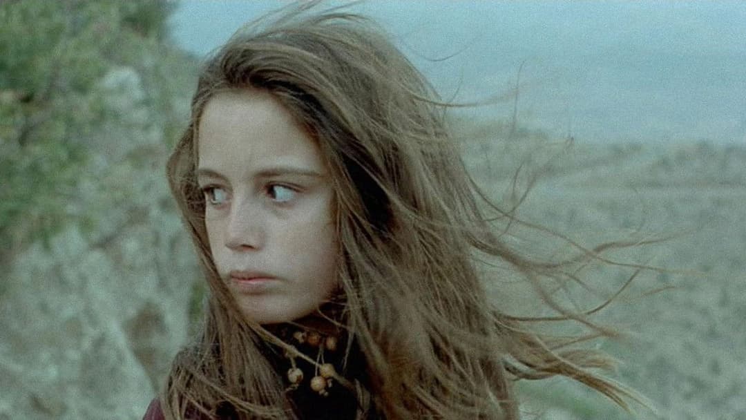 Turtles Can Fly backdrop 7