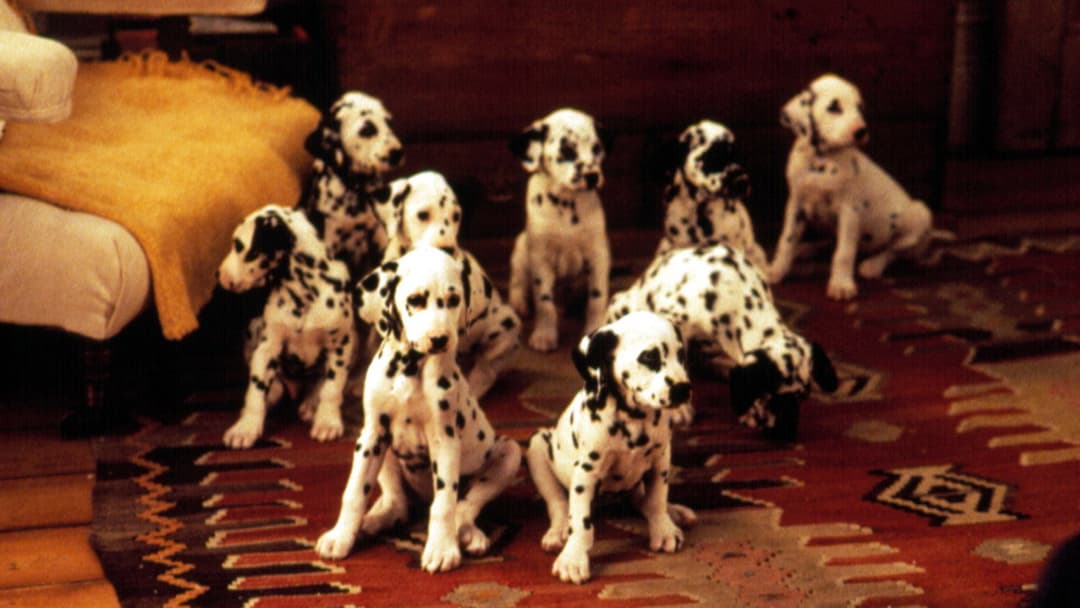 101 Dalmatians backdrop 10
