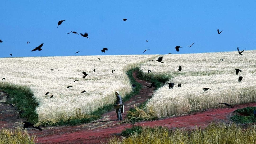 Сни Акіри Куросави backdrop 3