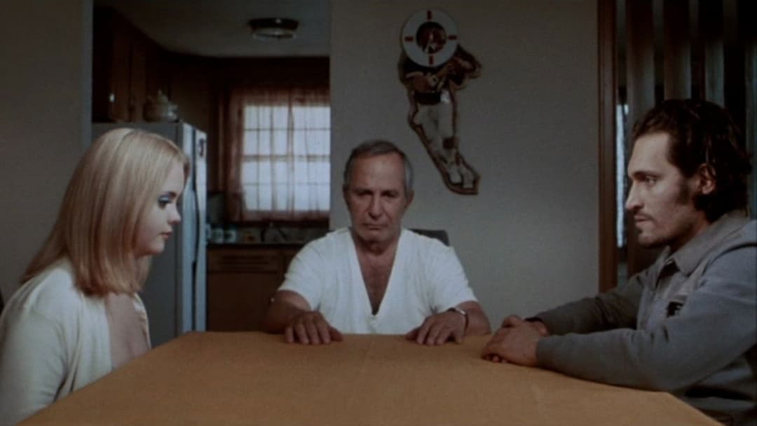 Баффало '66 backdrop 20