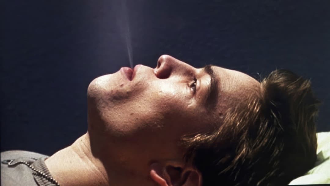 Juste une question d'amour