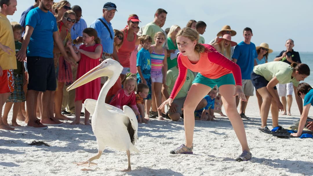 Mein Freund, der Delfin 2 backdrop 7